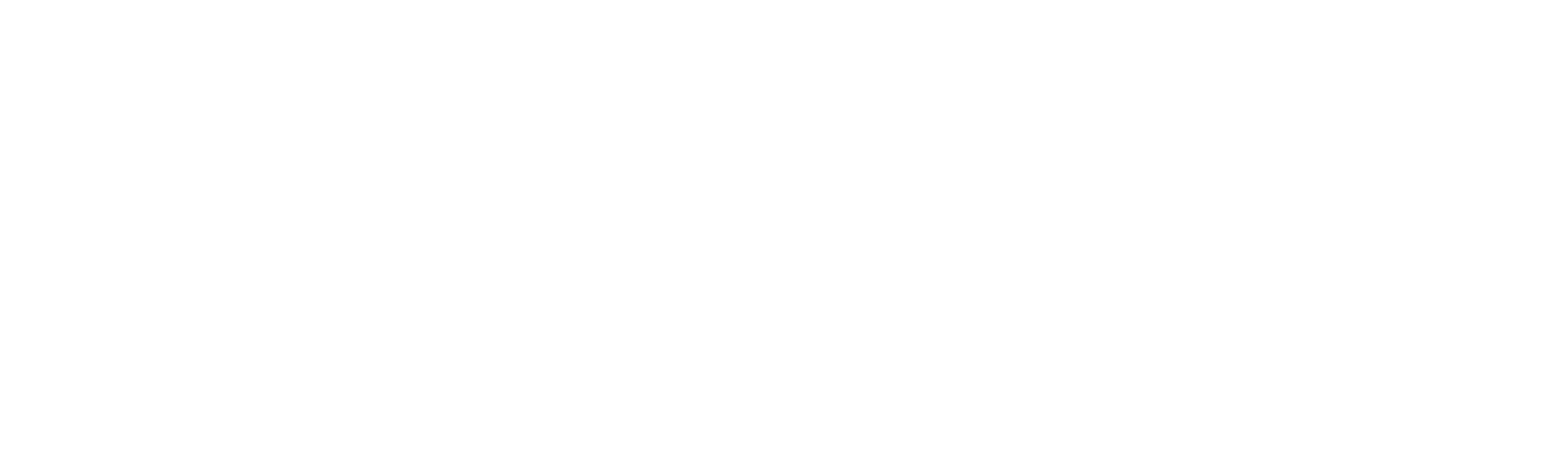 Rubii Logo
